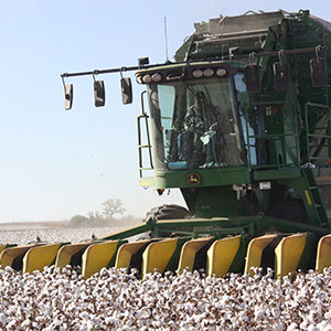 harvest, cotton, stripper, farming, agriculture, farm